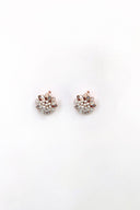 Earrings | AER-S24-11