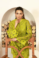 2 Pc Embroidered Lawn Suit