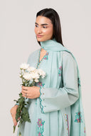 2 Pc Embroidered Lawn Suit