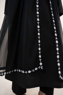 Embroidered Chiffon Dupatta