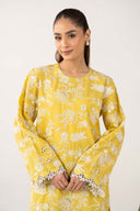 2 Pc Embroidered Lawn Suit