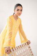 Embroidered Cationic Chiffon Shirt