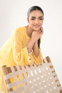 Embroidered Cationic Chiffon Shirt