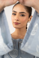 2 Pc Embroidered Lawn Suit