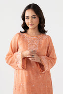 Embroidered Paper Lawn Shirt
