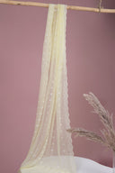Embroidered Chiffon Dupatta
