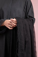 Embroidered Chiffon Dupatta