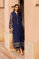 2 Pc Embroidered Organza Suit