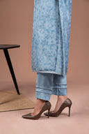 2 Pc Printed Organza Suit