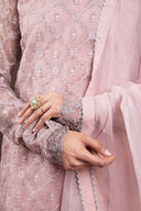 2 Piece Embroidered Organza Suit