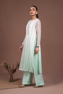 2 Piece Embroidered Organza Suit