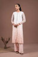 2 Pc Embroidered Organza Suit