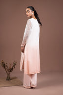 2 Pc Embroidered Organza Suit