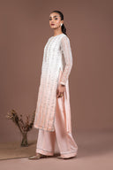 2 Pc Embroidered Organza Suit