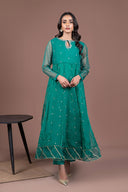 2 Piece Embroidered Organza Suit