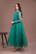 2 Piece Embroidered Organza Suit