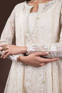 Embroidered Organza Pishwas