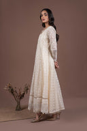 Embroidered Organza Pishwas