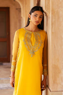 2 Pc Dyed Organza Suit