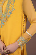 2 Pc Dyed Organza Suit