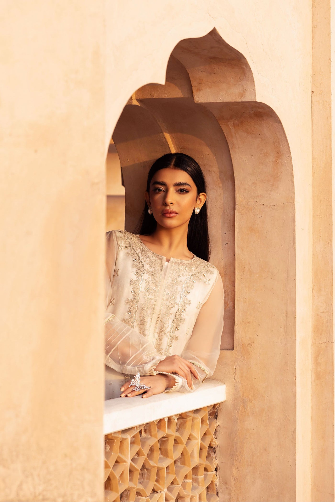 2 Piece Embroidered Organza Suit