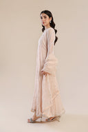 3 Piece Embroidered Poly Net Suit