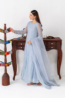 3 Piece Embroidered Poly Net Suit