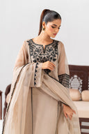 3 Piece Embroidered Organza Suit