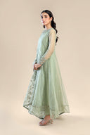 2 Pc Embroidered Organza Suit
