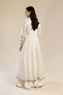 2 Pc Embroidered Organza Suit
