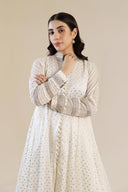 2 Pc Embroidered Organza Suit