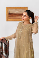 Embroidered Organza Shirt