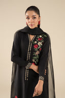 2 Pc Embroidered Raw Silk Suit