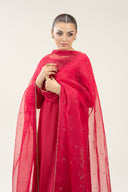 2 Pc Embroidered Bamberg Raw Silk Suit