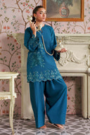 2 Pc Embroidered Raw Silk Suit