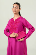 2 Pc Embellished Rawsilk Suit