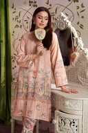 2 Pc Printed Georgette Suit