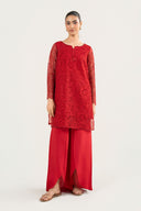 2 Pc Embroidered Organza Suit