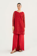 2 Pc Embroidered Organza Suit