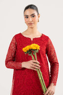 2 Pc Embroidered Organza Suit