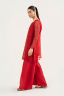 2 Pc Embroidered Organza Suit