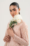 2 Pc Embroidered Organza Suit