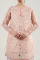 2 Pc Embroidered Organza Suit