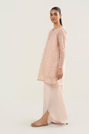 2 Pc Embroidered Organza Suit