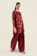 2 Pc Embellished Raw Silk Suit