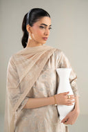 Dyed Net Dupatta