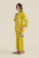 2 Pc Embroidered Karandi Suit