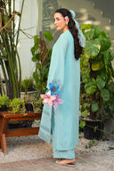 2 Pc Embroidered Karandi Suit