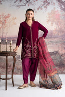 3 Pc Embroidered Velvet Suit