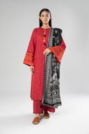 2 Pc Printed Linen Suit